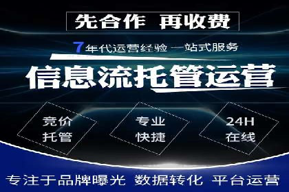 SEM推广实战：成功案例解读与策略调整